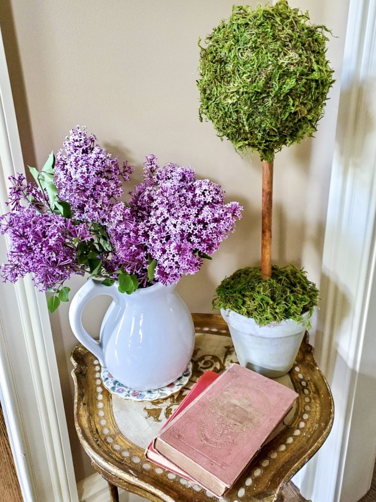 pitcher-blooms-topiary-books