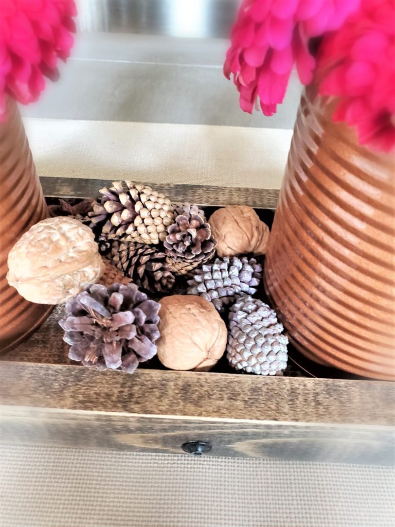Closeup-of-Pinecones-Focal-Soften