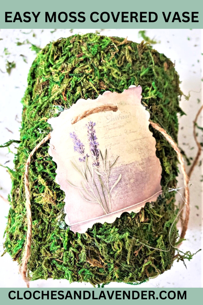 EASY-MOSS-COVERED-VASE-PIN