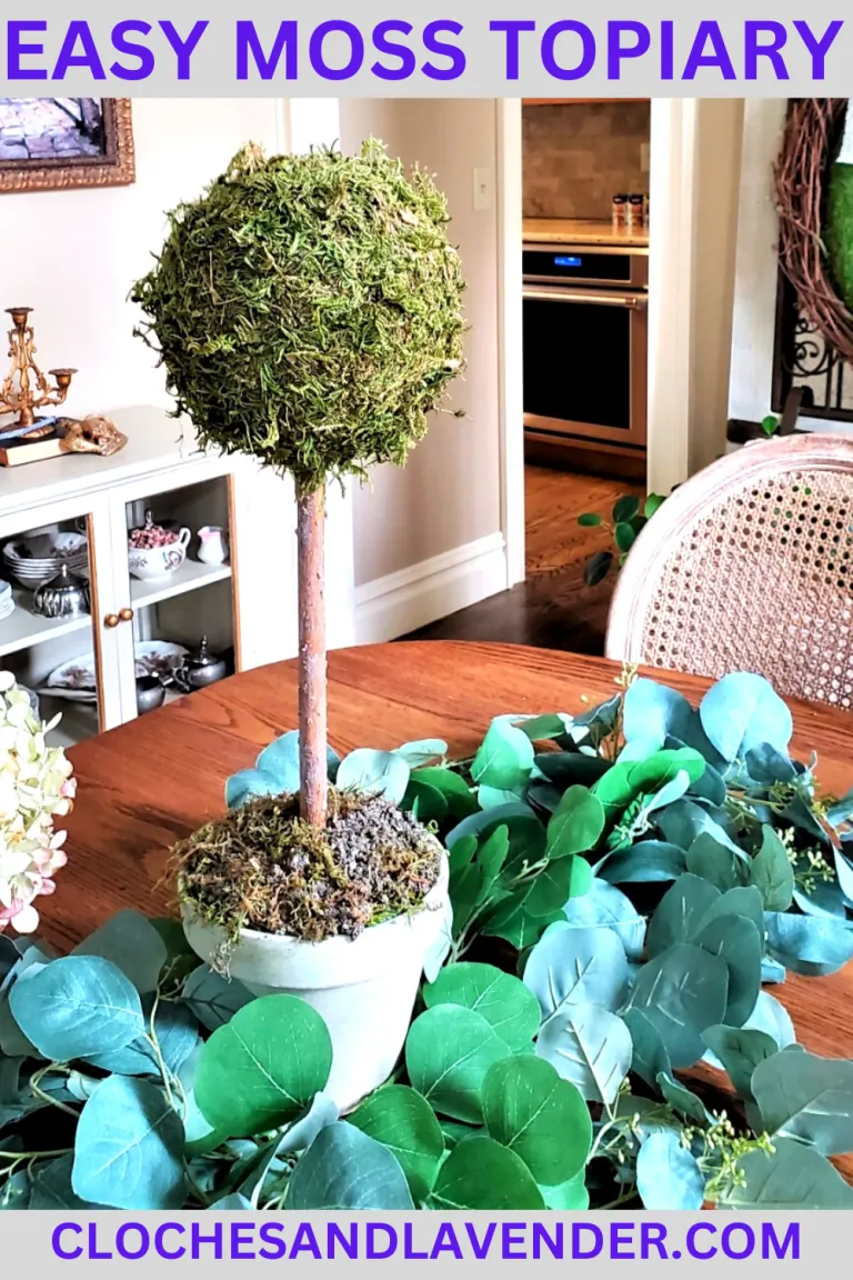 DIY Moss Topiary — Get Started Right Now! - Cloches & Lavender