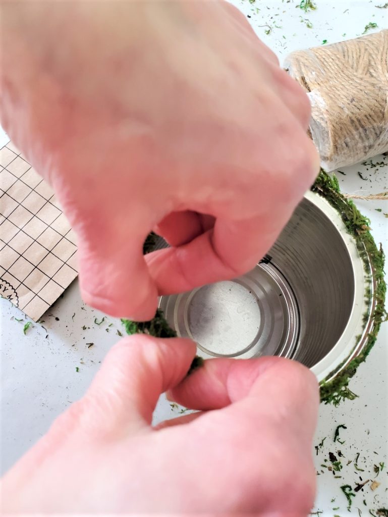 adding-strips-of-sticky-moss-to-can-edge