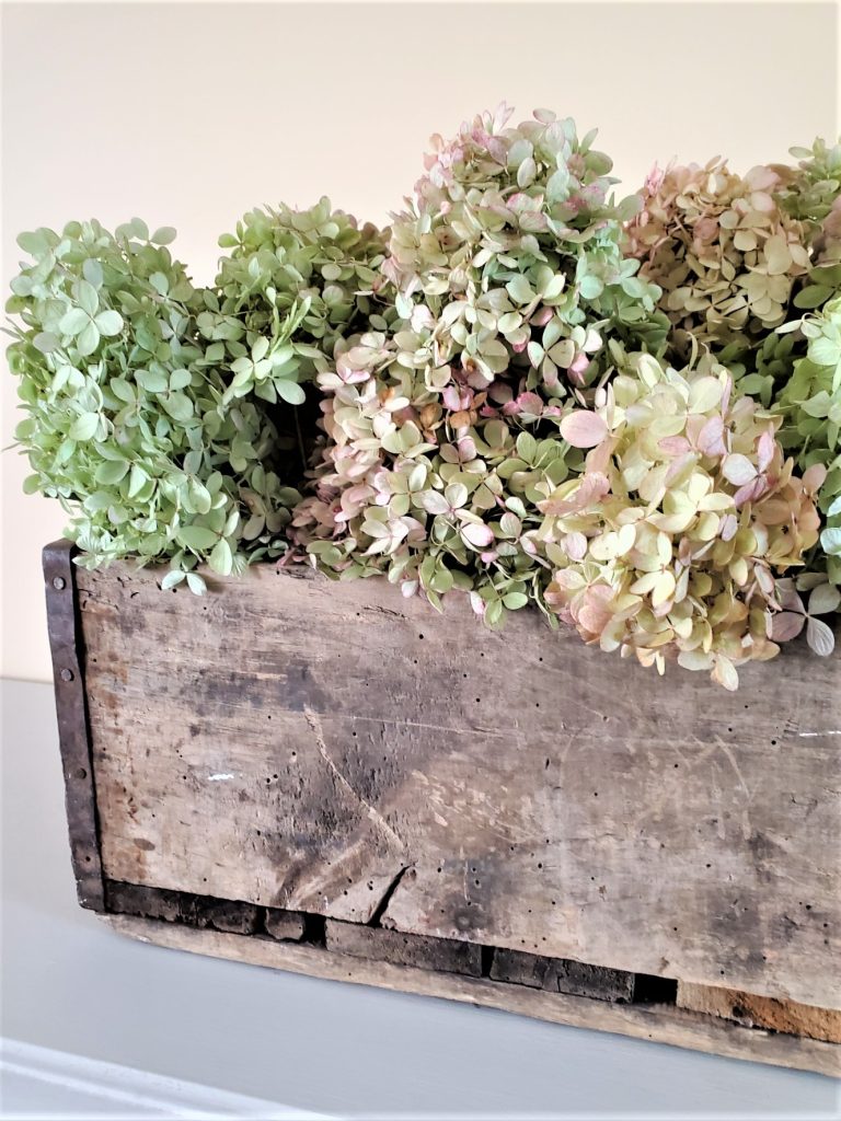 closeup-dried-hydrangeas-spring-decorating-ideas