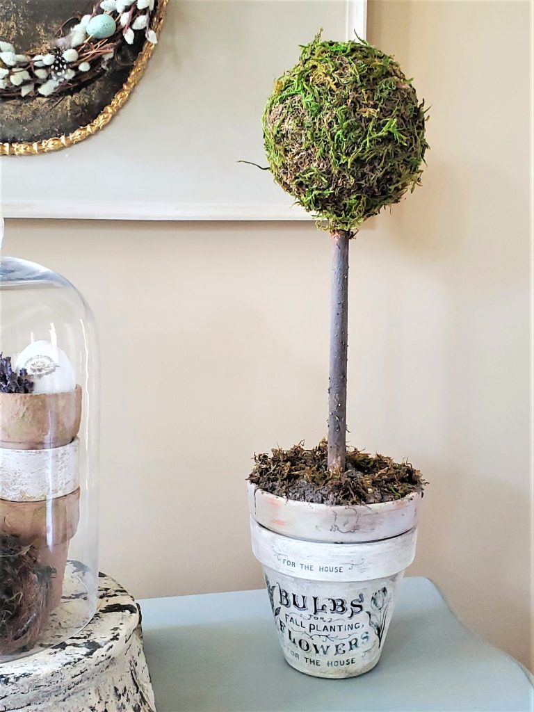 closeup-topiary