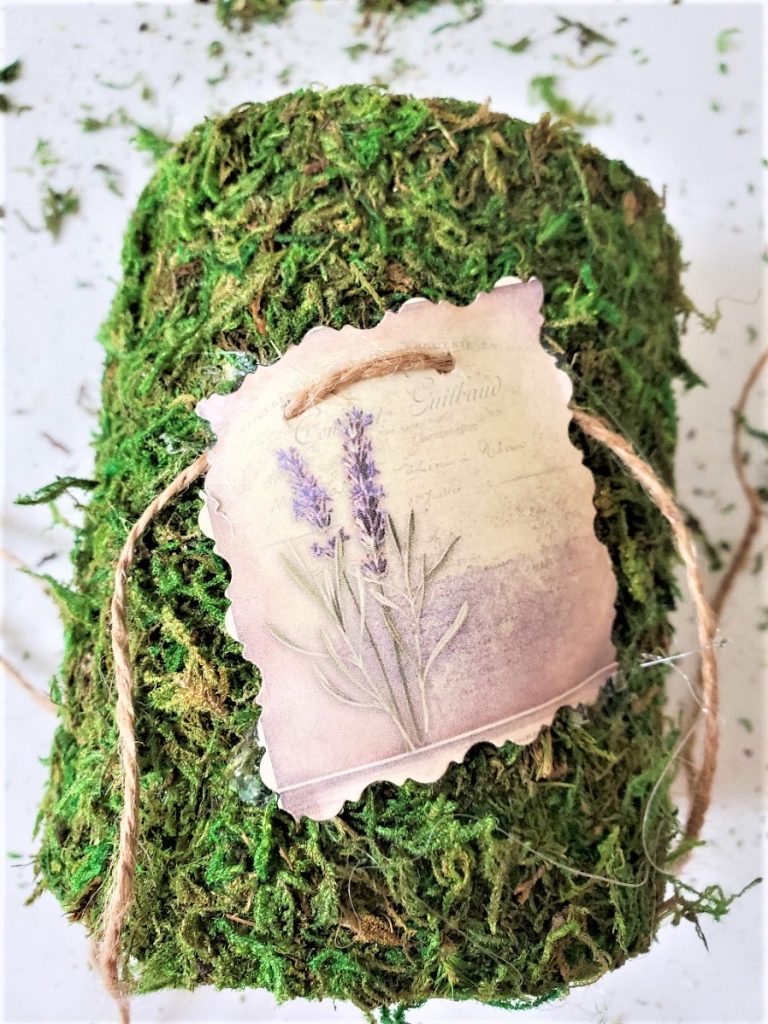 label-added-to-moss-DIY-with-hot-glue