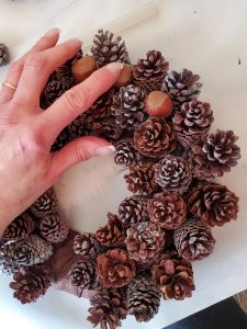 holding-hazlenut-until-set-for-pinecone-wreath