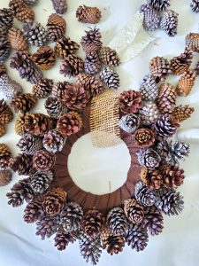 second-row-pinecones-almost-finished