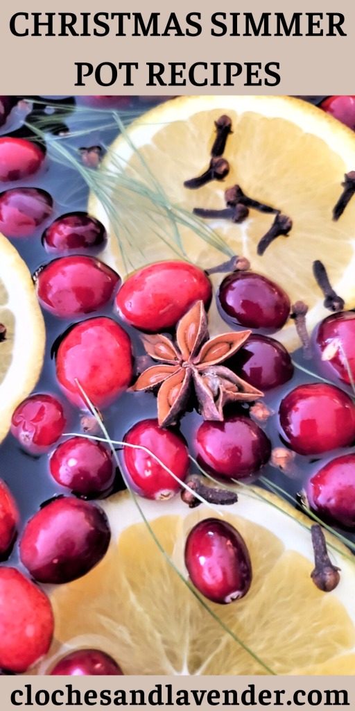 CHRISTMAS-SIMMER-POT-RECIPES-PIN