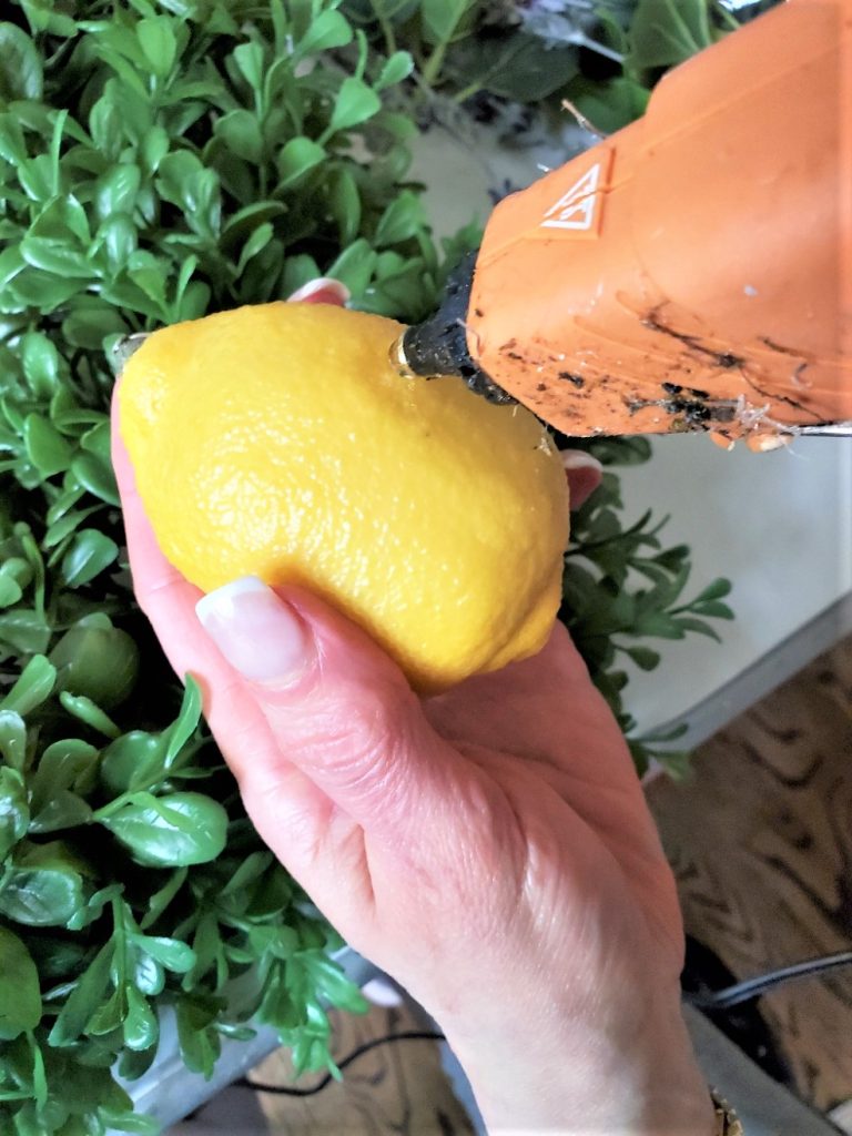 adding-hot-glue-lemon