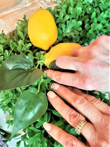 adding-lemon-leaf-to-wreath