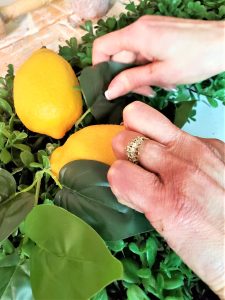 adjusting-lemon-leaves