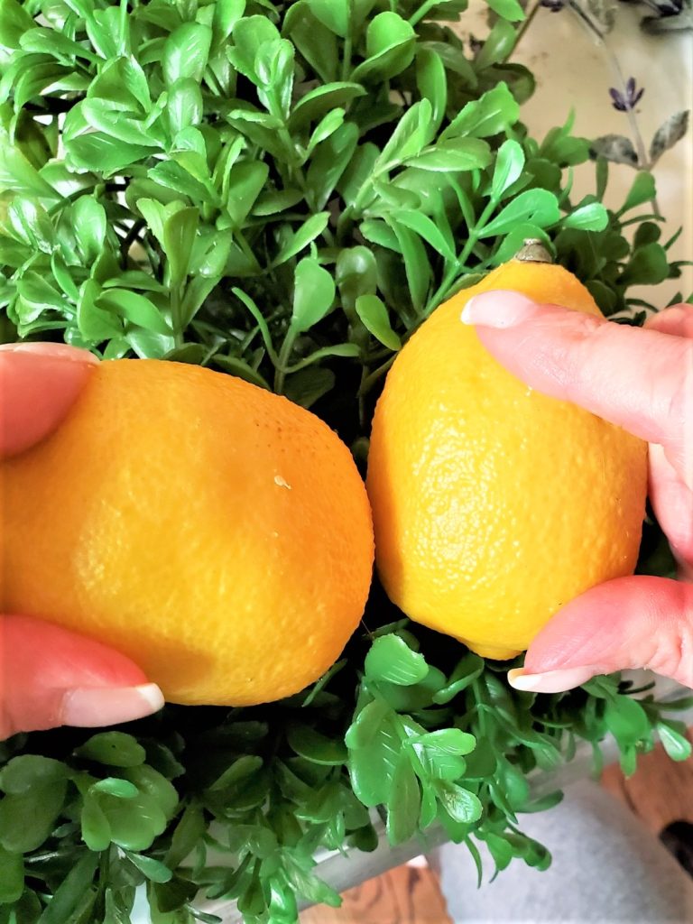 holding-lemons-to-set-on-boxwood-wreath