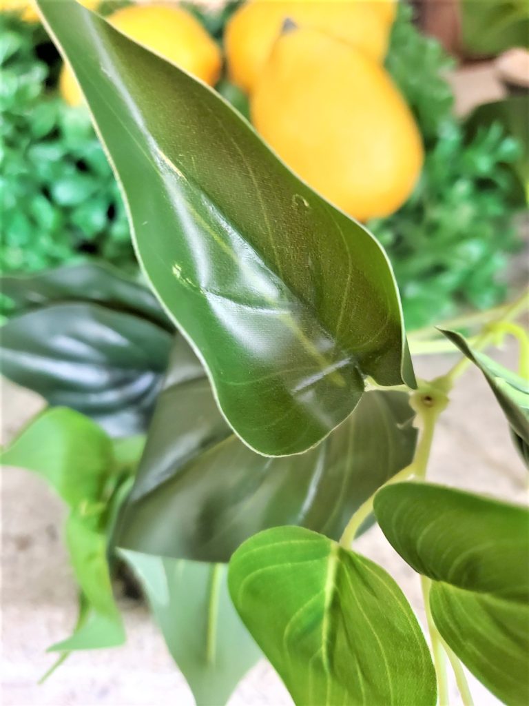 lemon-leaf