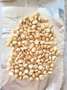 macadamia-nuts-before-roasting-white-chocolate-covered-macadamia-nuts