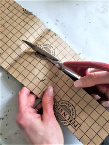 cutting-moss-with-scissors