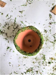 edge-of-pot-covered-with-moss-plate-wreath