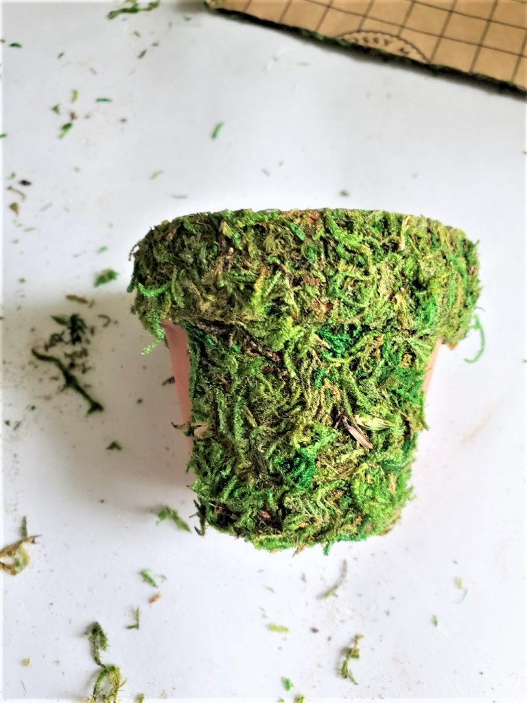 flowerpot-getting-covered-with-green-moss