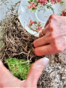 holding-moss-to-set-on-front-of-plate-wreath