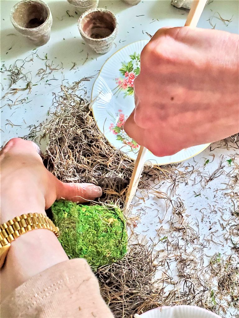 holding-paint-stick-to-set-moss-for-safety