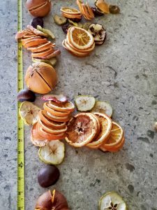 measuring-dried-fruit-dried-orange-garland