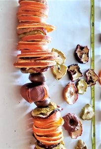 measuring-the-length-of-dried-fruit-pieces-for-garland