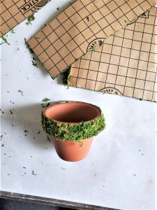 moss-on-flowerpot-rim-how-to-make-a-plate-wreath-craft