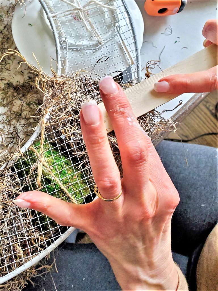 using-wood-stick-to-hold-moss-to-set-