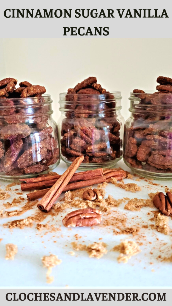 CINNAMON-SUGAR-PECANS-PIN