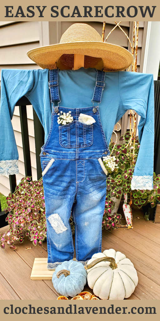 SCARECROW-PIN