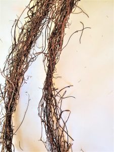 grapevine-garland-after-soaking