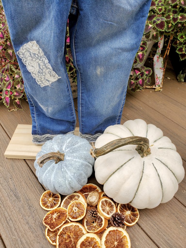 pumpkins-and-dried-orange-slices