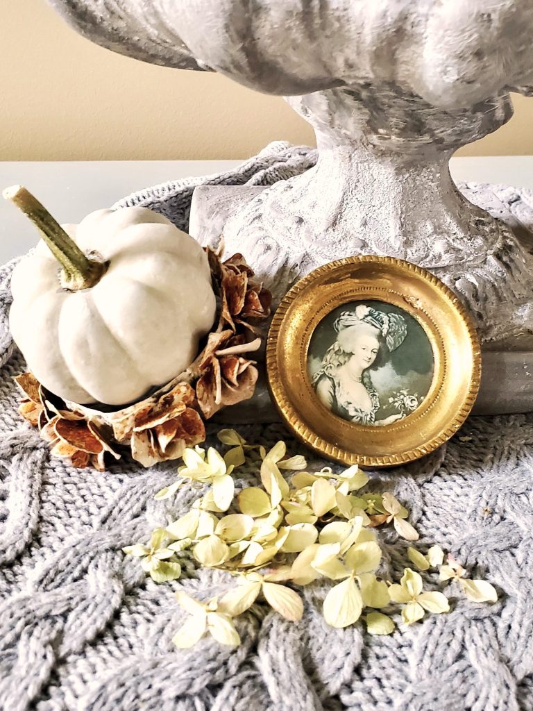 hydranges-petals-small-pumpkin-florentine-picture