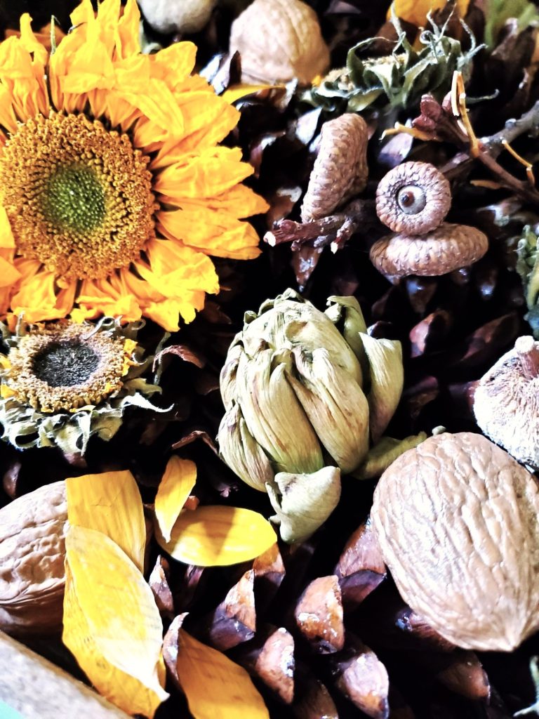sunflowers-pinecones-dried-artichokes