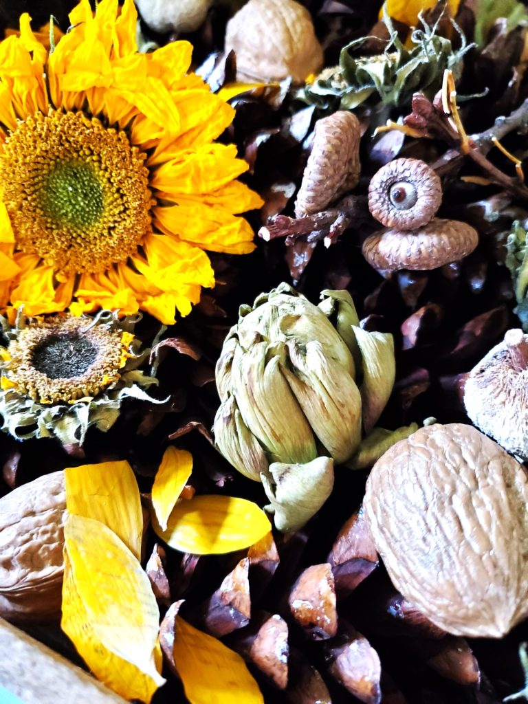 close-up-of-arrangement