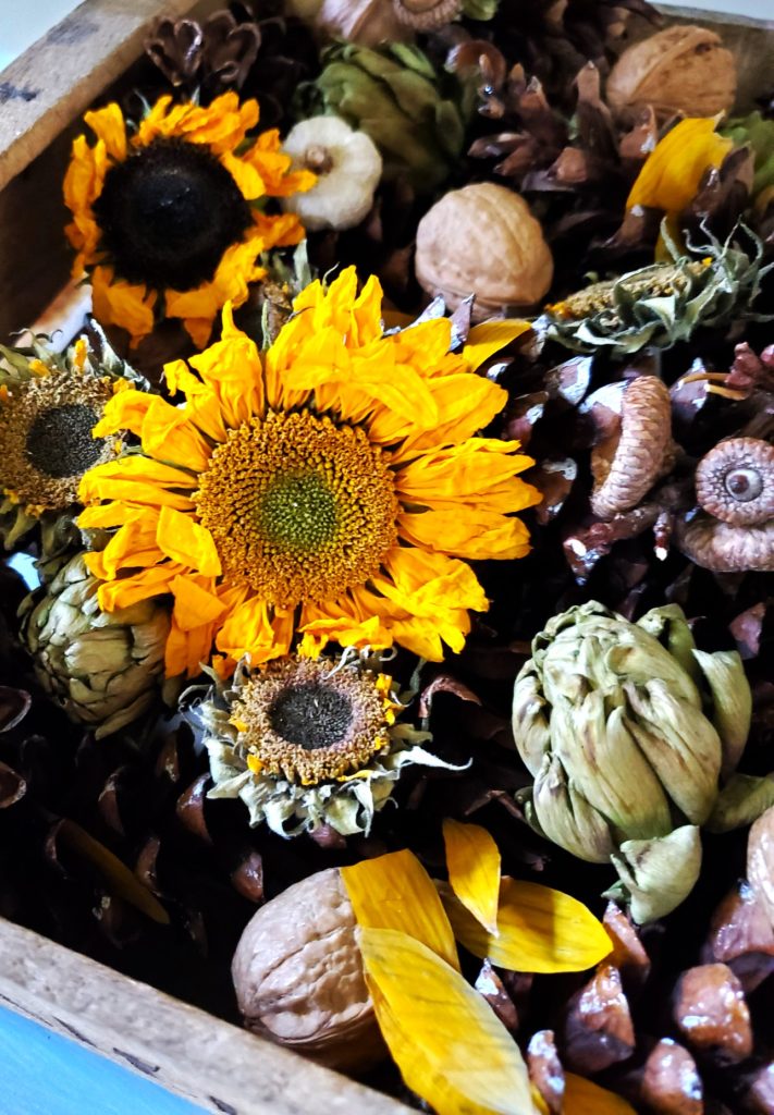 sunflower-artichokes-nuts-pinecones