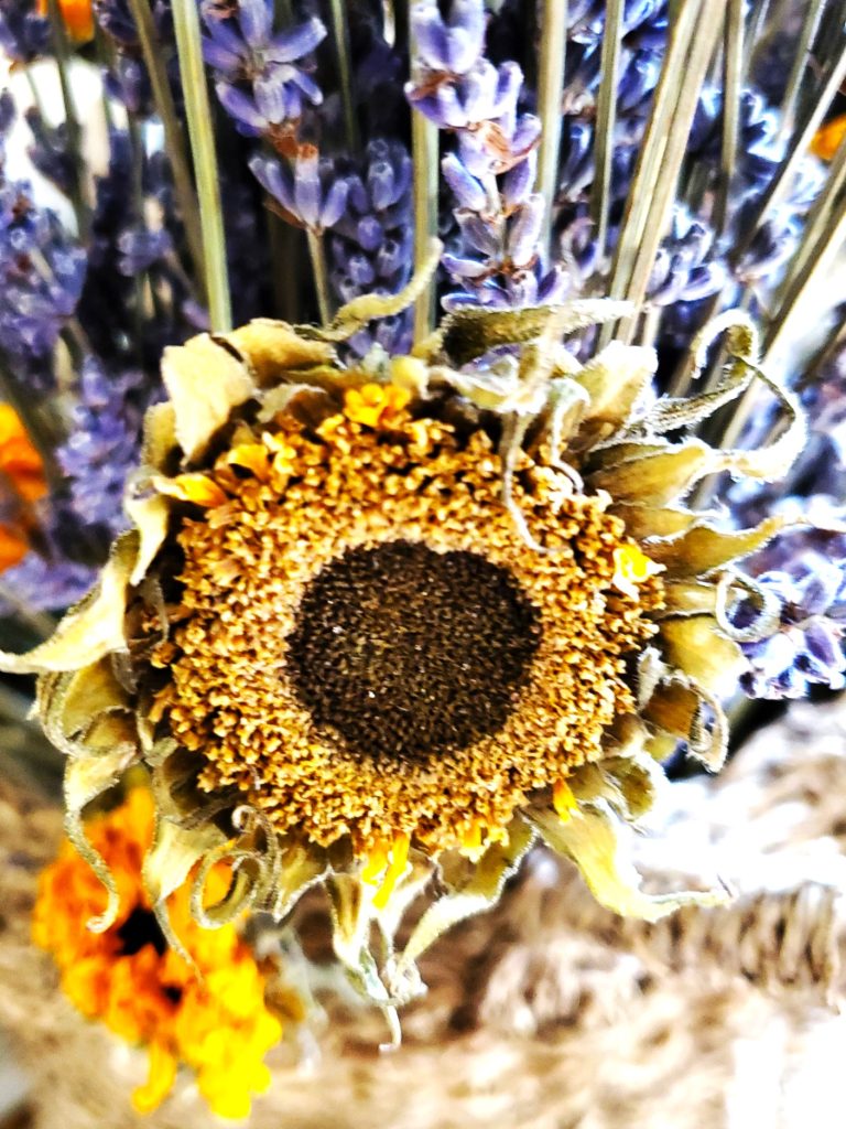 flower-head