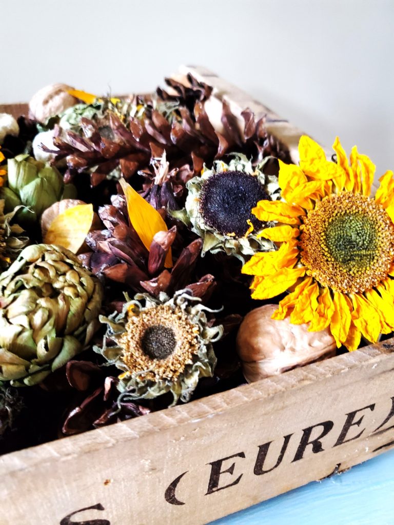 french-crate-closer-look-seed-heads-dried-artichokes