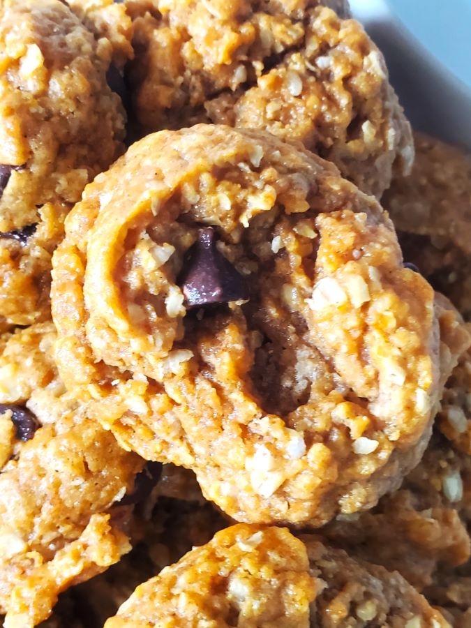 oatmeal-pumpkin-spice-brown-butter-pudding-cookies-