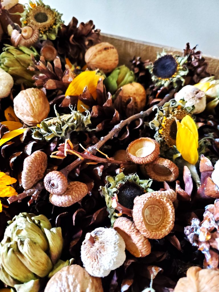 petals-acrons-branches-pine-cones-dry-sunflower-heads-petals