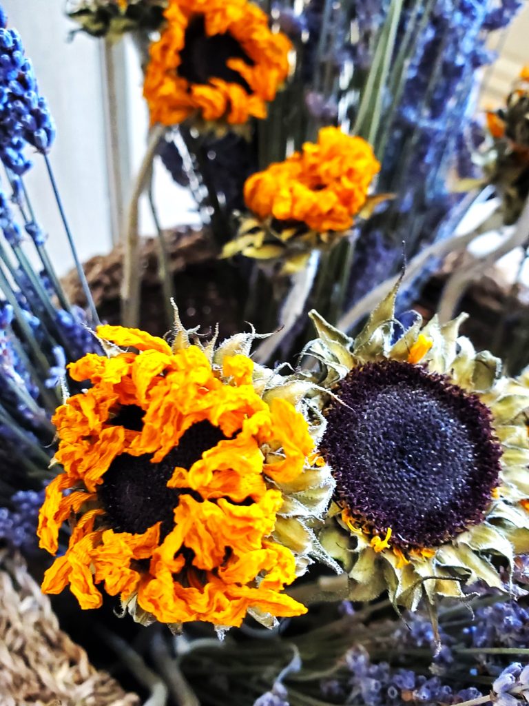 whole-dry-sunflowers-dried-lavender