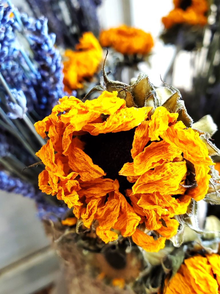 whole-dry-flower