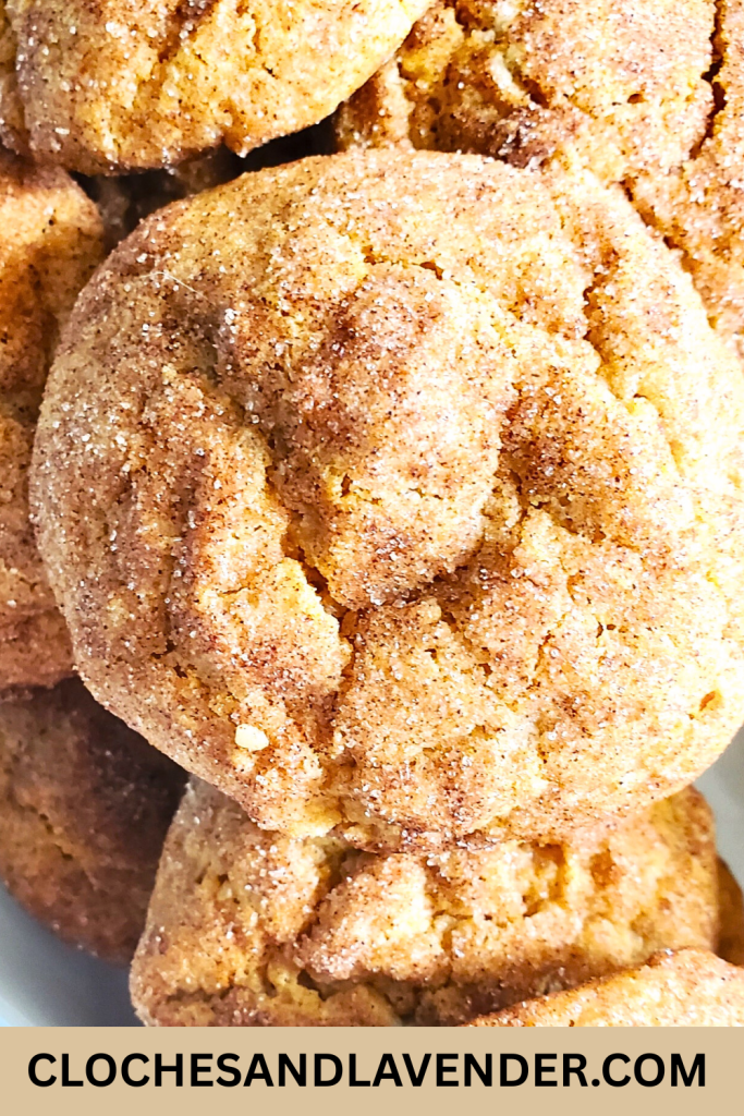 BROWN BUTTER PUMPKIN SNICKERDOODLES PIN