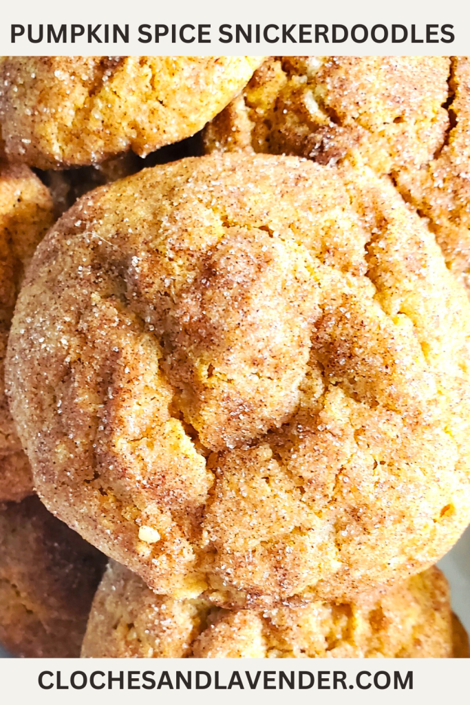 PUMPKIN-SPICE-SNICKERDOODLE-COOKIES-PIN