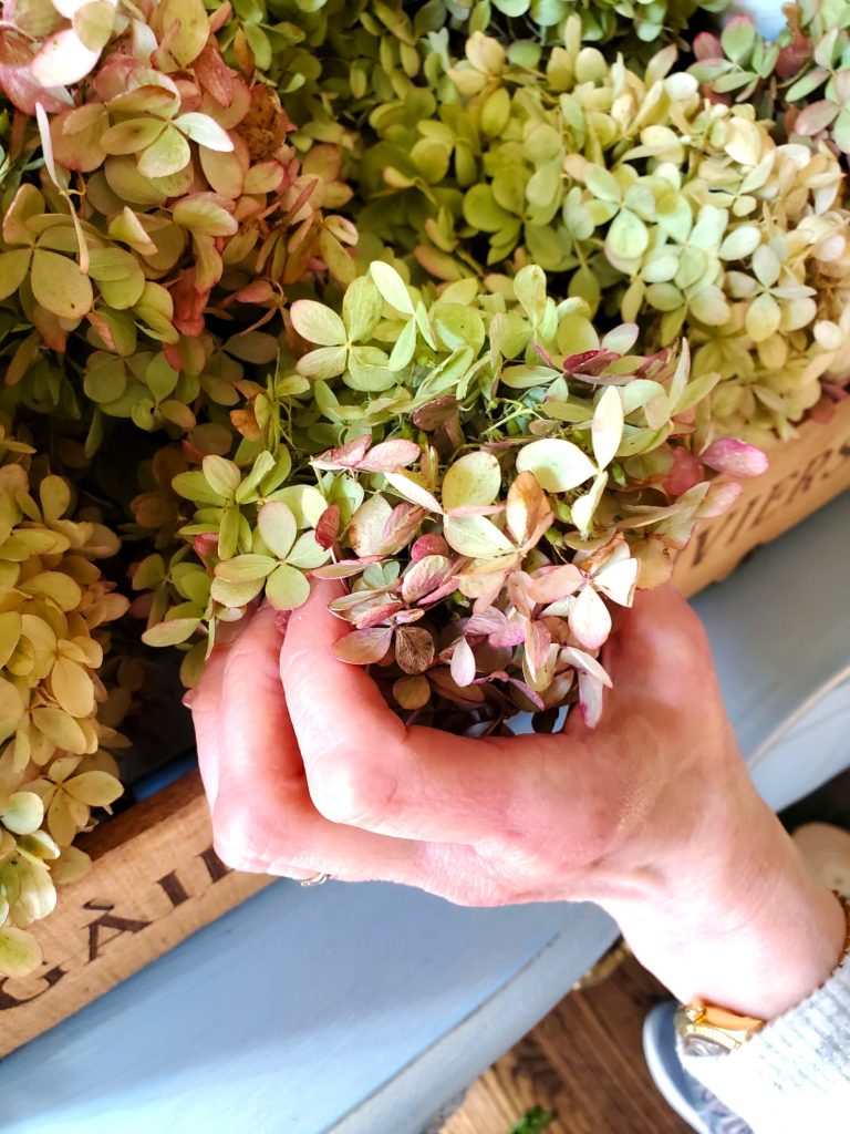 adding-dried-hydrangeas
