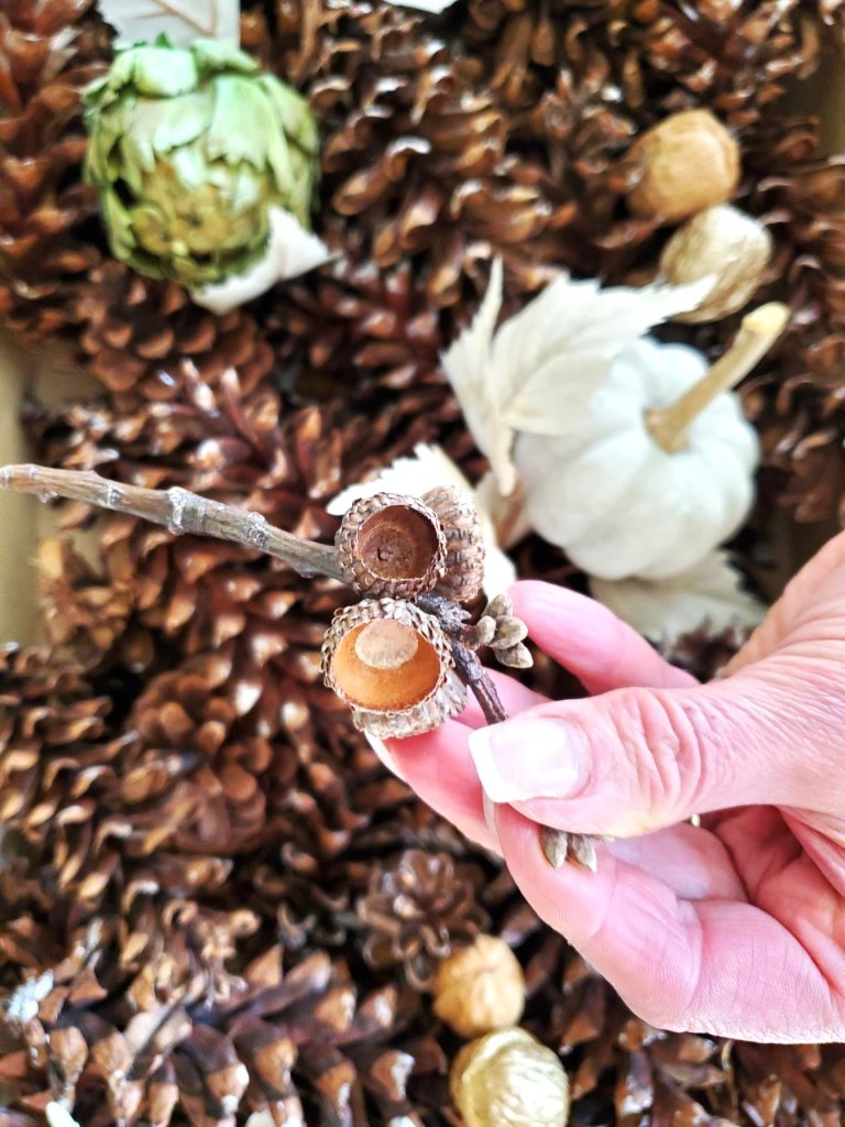 acorn-branch
