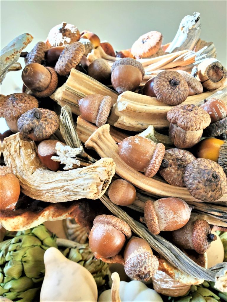 closeup-of-pumpkin-stems-and-acorns