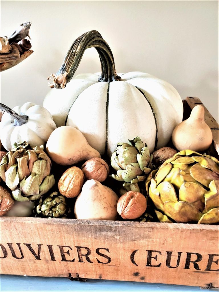 stripped-pumpkin-real-stem
