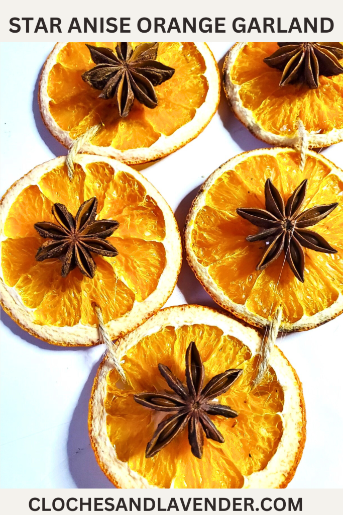 STAR-ANISE-GARLAND-PIN