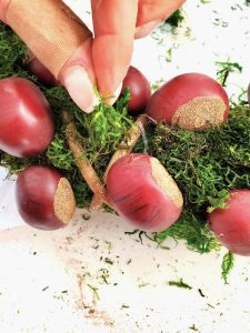 adding-extra-moss