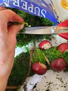chestnut-wreath-diy-cutting-moss