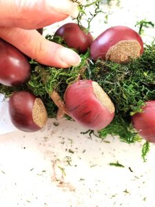 chestnut-wreath-diy-holding-moss-to-set